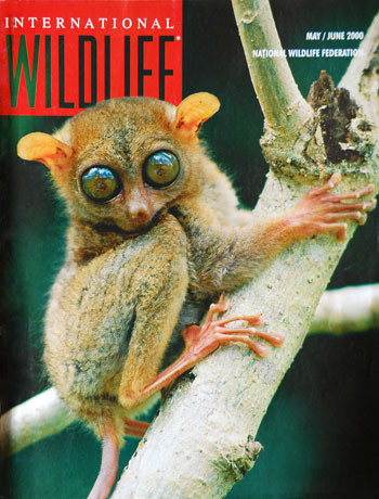 Internal Wildlife Magazine